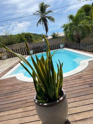 Maison - 229 m² - 6 pièces