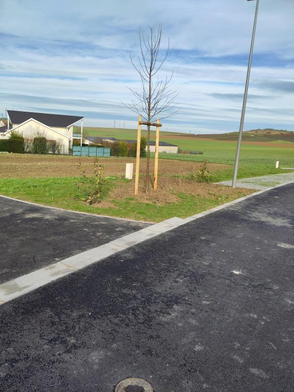 Maison - 147 m² - 5 pièces