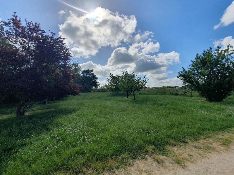 Local d'activité / Entrepôt - 2 020 m²