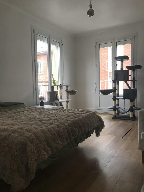 Appartement - 51 m² - 2 pièces