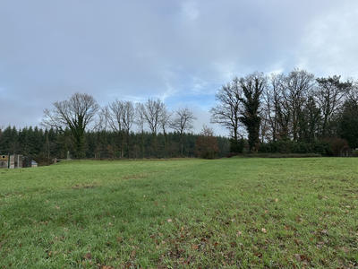 Terrain - 1 104 m²
