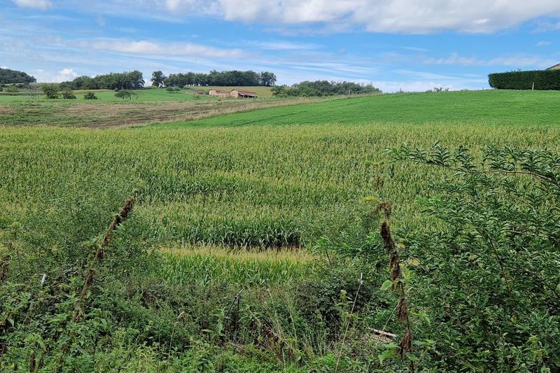 Maison - 72 m² - 3 pièces