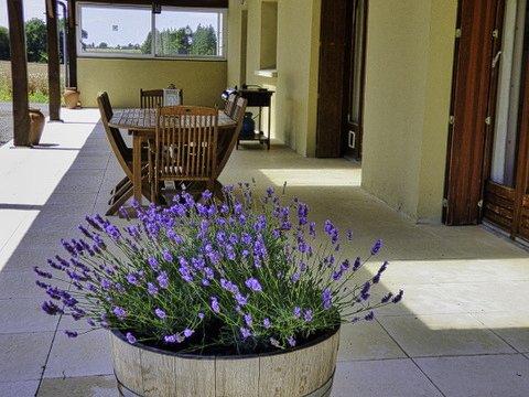 Gîte - 880 m² - 40 pièces