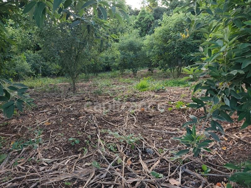 Terrain constructible - 1 043 m²