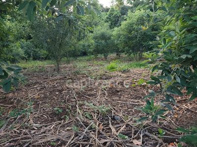 Terrain constructible - 1 043 m²