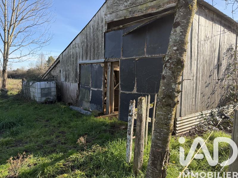 Maison de village - 70 m² - 3 pièces