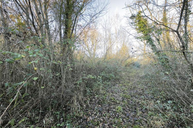 Terrain - 15 113 m²