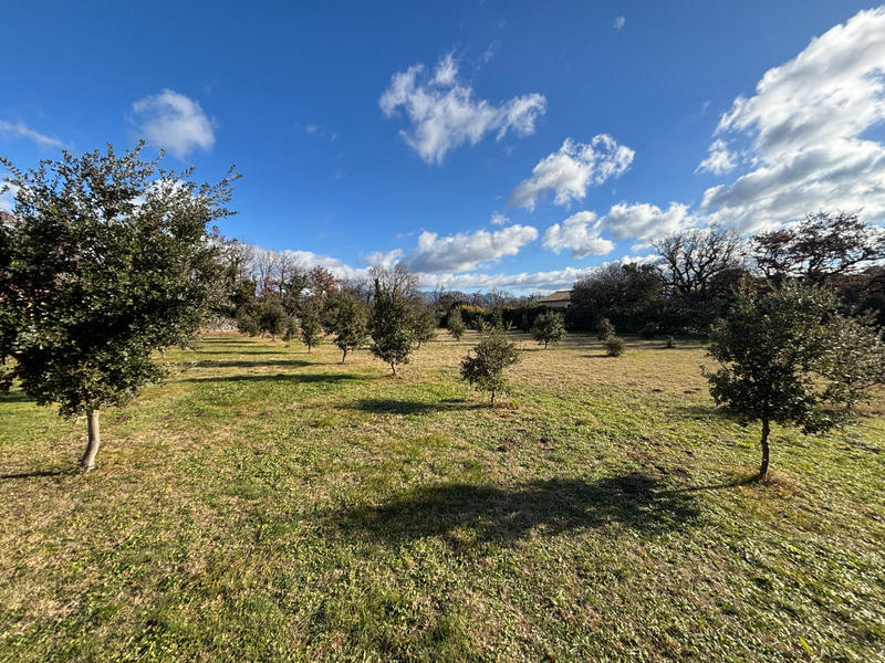 Terrain - 1 205 m²