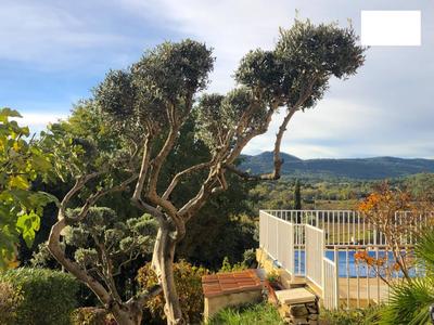 Villa - 162 m² - 8 pièces