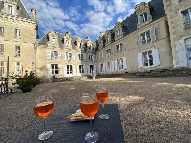 Château - 4 200 m² - 72 pièces