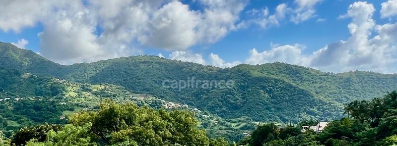 Maison - 239 m² - 9 pièces