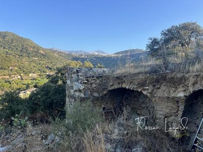 Maison - 50 m² - 1 pièce