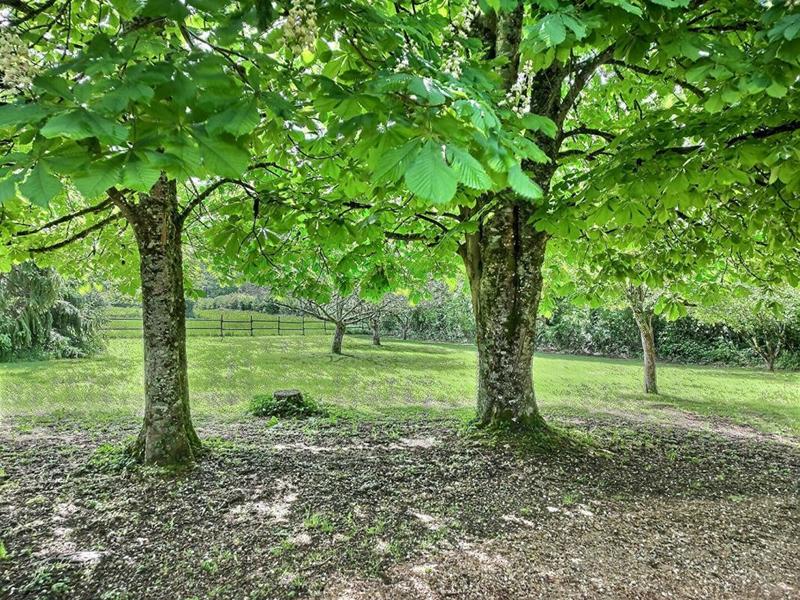 Maison - 175 m² - 8 pièces