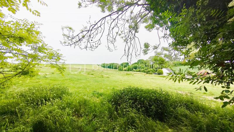 Maison de campagne - 150 m² - 5 pièces