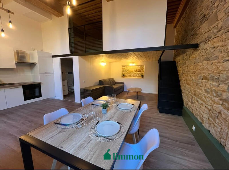 Loft - 52 m² - 1 pièce