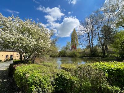 Manoir - 600 m² - 22 pièces