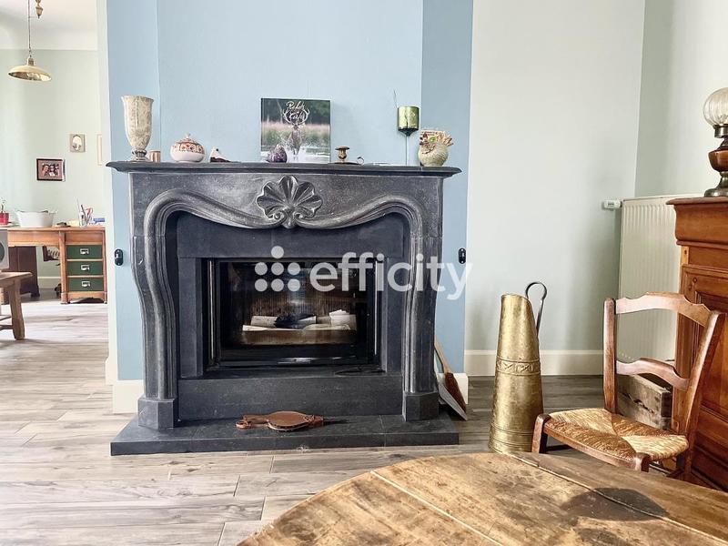 Maison bourgeoise - 220 m² - 7 pièces