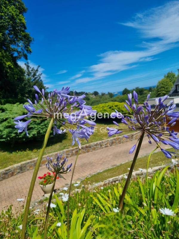 Maison ancienne - 224 m² - 9 pièces