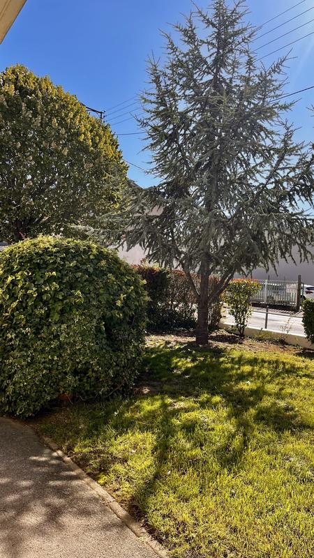 Appartement - 53 m² - 2 pièces