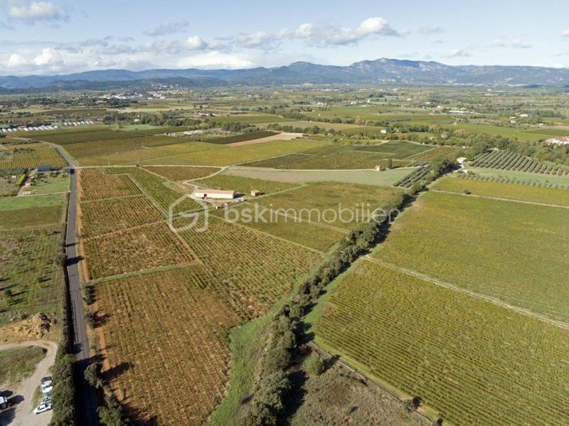 Terrain - 87 173 m²