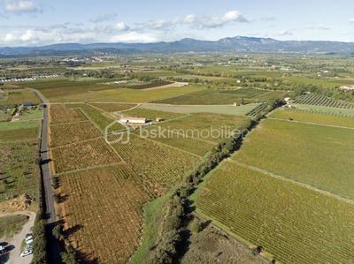 Terrain - 87 173 m²