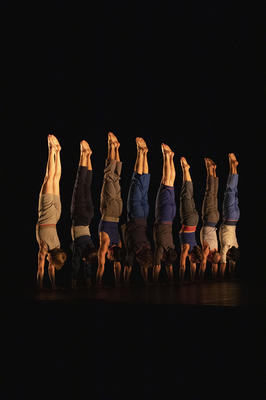 Saison culturelle - le Complexe de l’Autruche - Collectif d’équilibristes