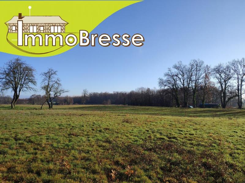 Terrain - 8 430 m²