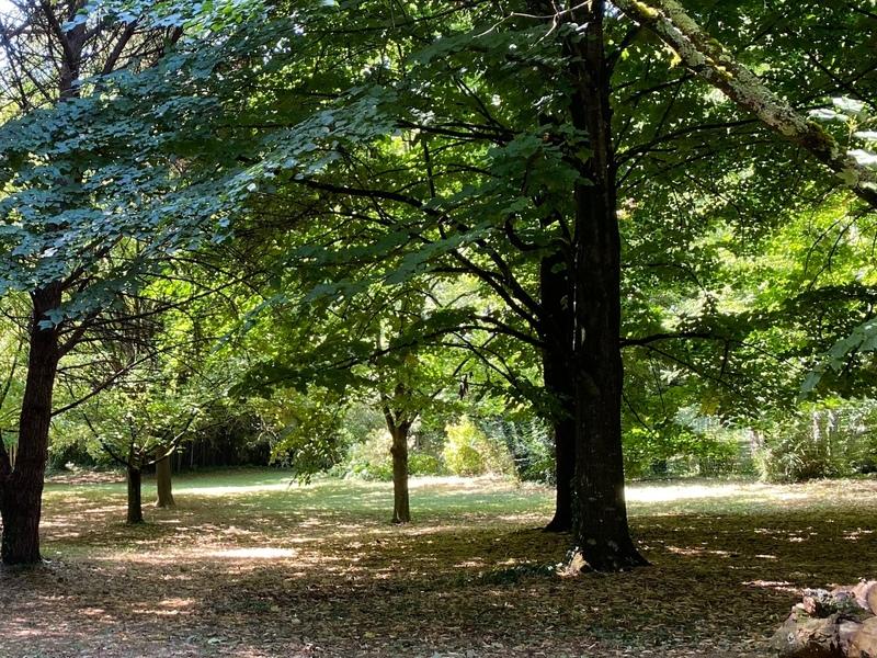 Mas - 175 m² - 7 pièces