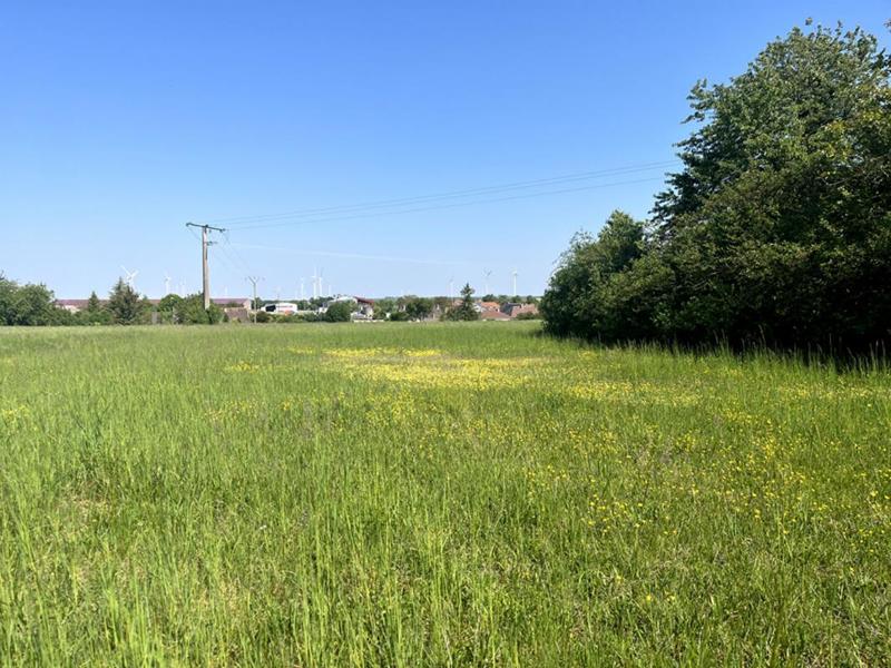 Terrain constructible - 7 090 m²