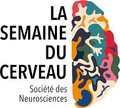Vie et Mort des Neurones : des Pistes Pour les Préserver