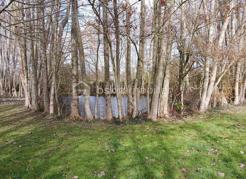 Terrain de loisirs - 2 900 m²