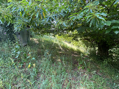 Terrain de loisirs - 2 498 m²