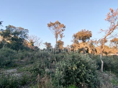 Terrain constructible - 1 816 m²