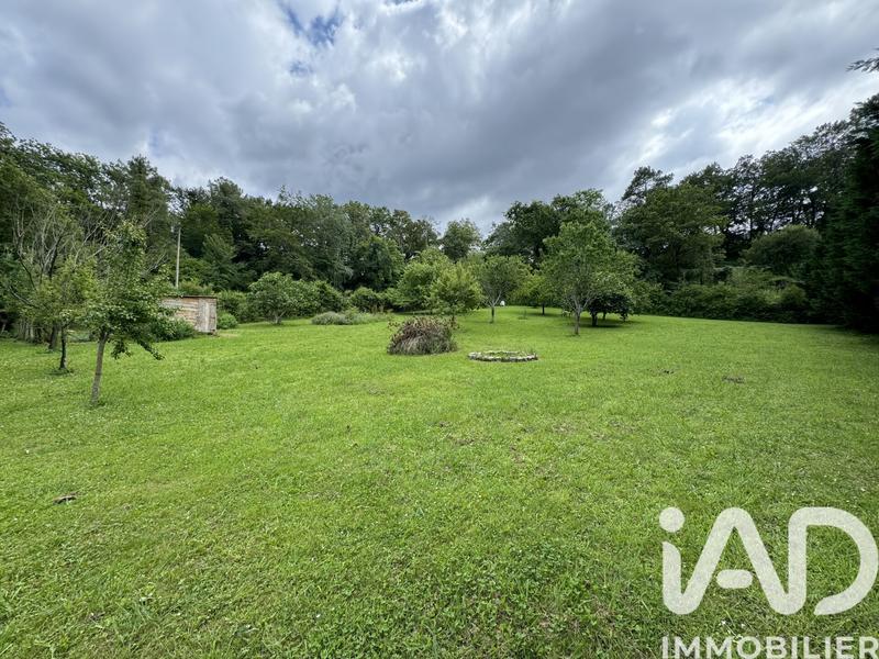 Maison - 399 m² - 14 pièces