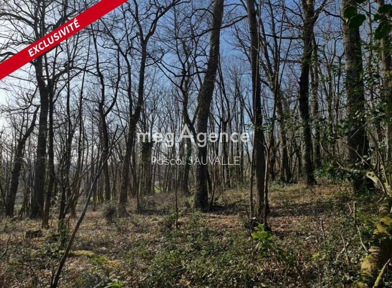 Terrain constructible - 4 400 m²