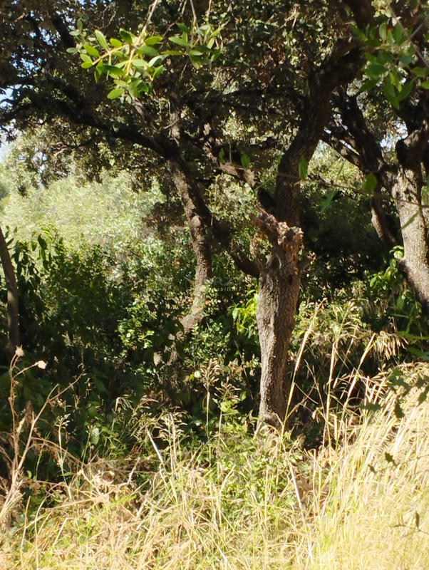 Maison - 81 m² - 4 pièces