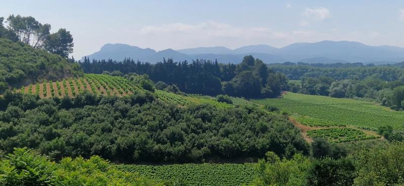 Maison - 188 m² - 7 pièces