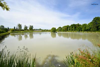 Propriété - 373 m² - 11 pièces