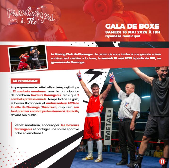 Gala de boxe