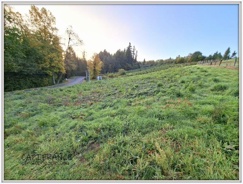Terrain constructible - 1 520 m²