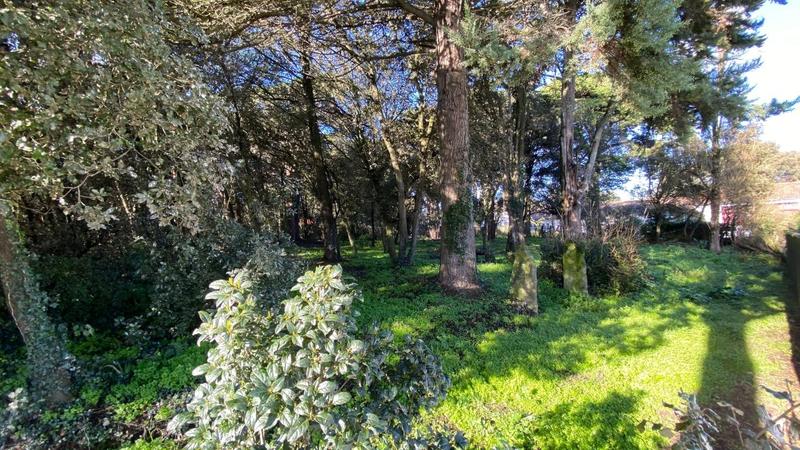 Terrain constructible - 2 000 m²
