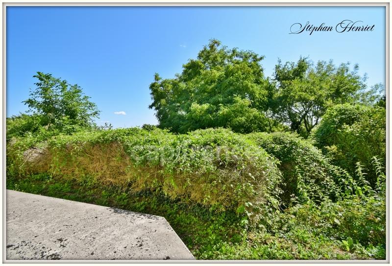 Maison de ville - 228 m² - 10 pièces