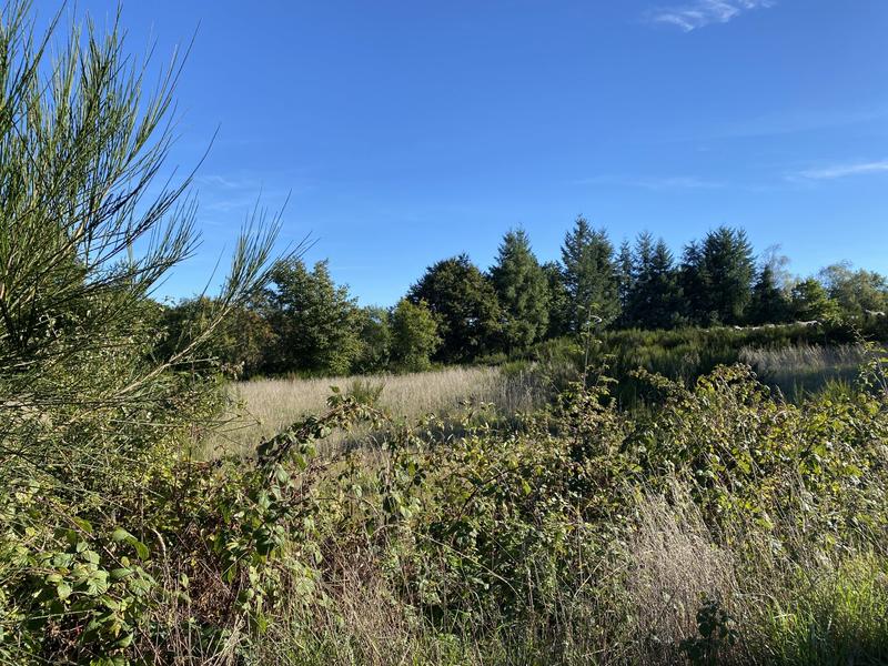 Maison - 87 m² - 5 pièces