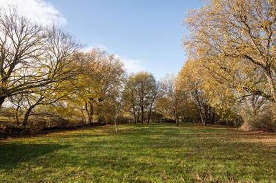 Maison - 260 m² - 2 pièces