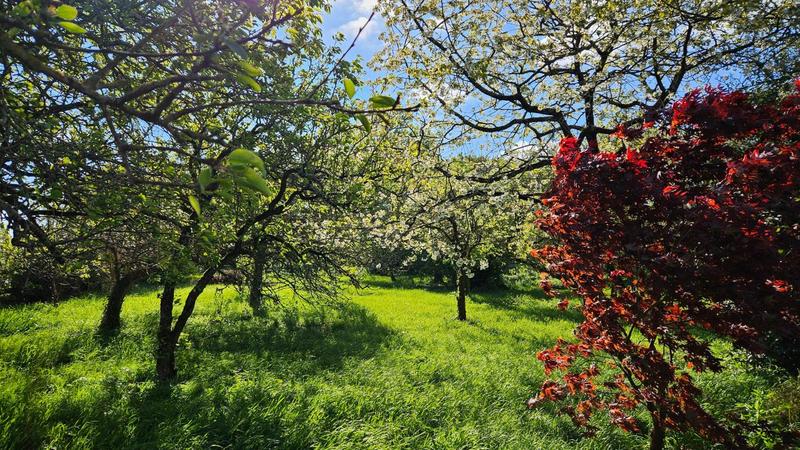 Propriété - 170 m² - 5 pièces