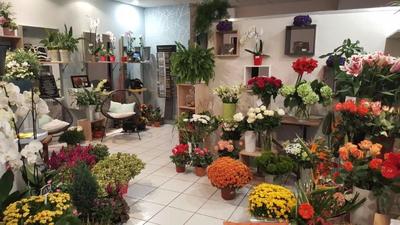 Hélios Pompes Funèbres - Fleuriste