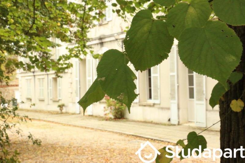 Chambre - 28 m² - 1 pièce