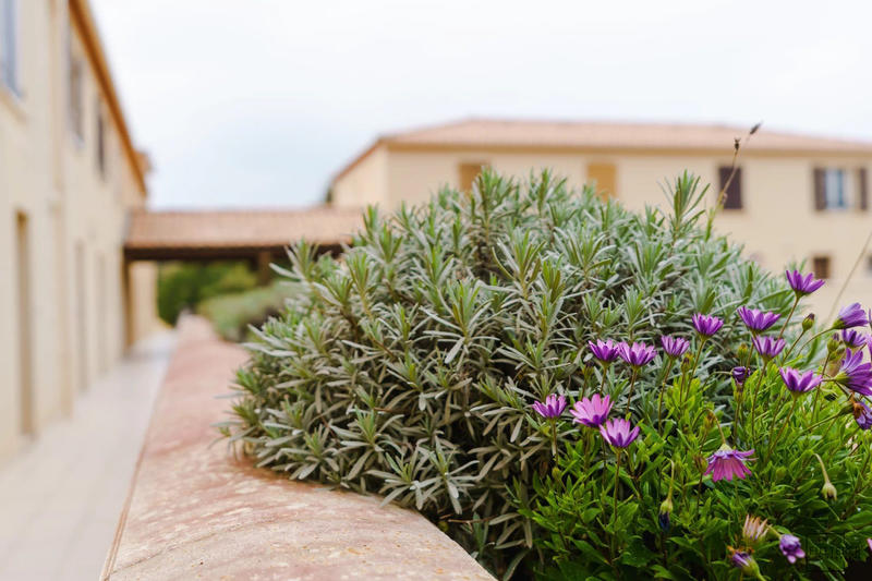 Appartement - 49 m² - 3 pièces