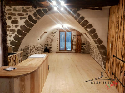 Loft - 50 m² - 1 pièce