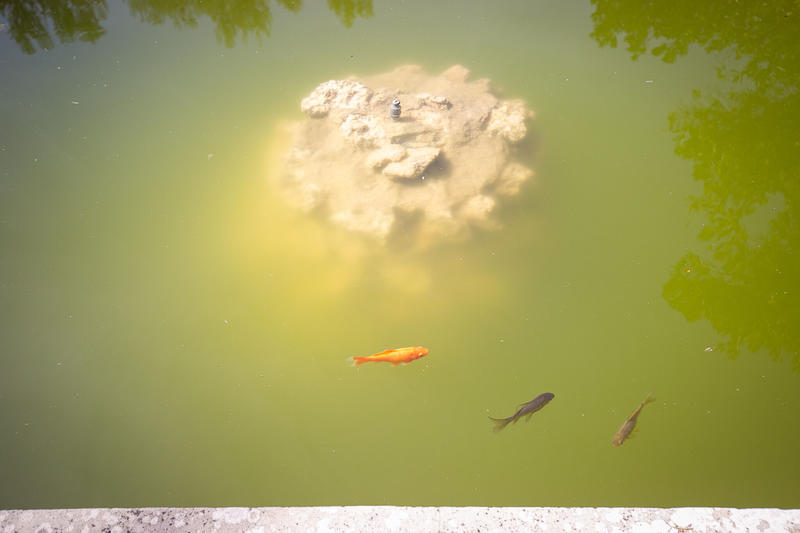 Maison - 116 m² - 5 pièces